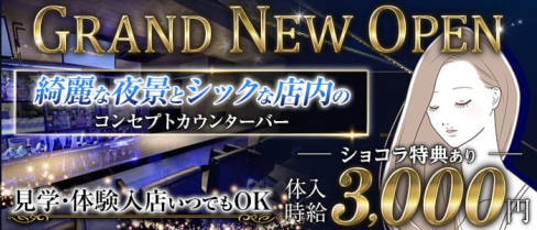 コンセプトカウンターバー Voyage(ボヤージュ)【公式求人・体入情報】(上野ガールズバー)の求人・体験入店情報
