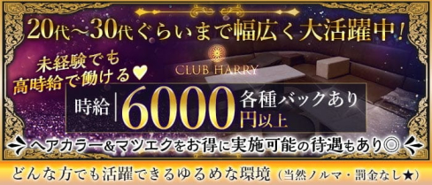 【葛西】 CLUB HARRY(ハリー)【公式求人・体入情報】(葛西キャバクラ)の求人・体験入店情報