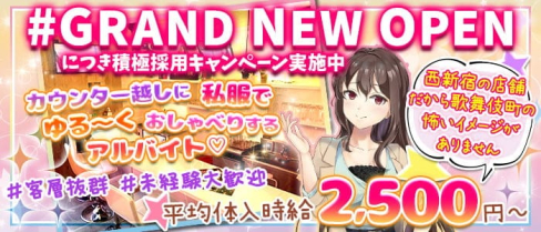 Girl's bar Oraf(オラフ)【公式求人・体入情報】(歌舞伎町ガールズバー)の求人・体験入店情報