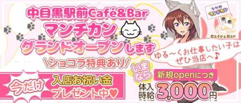 コンセプトカフェ&バー "中目黒"マンチカン(=^・・^=)【公式求人・体入情報】(恵比寿ガールズバー)の求人・体験入店情報
