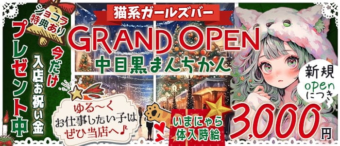 猫系ガールズバー "中目黒"まんちかん(=^・・^=)のガールズバー体入