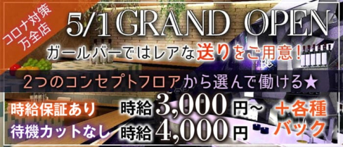 Honey Bee(ハニービー)【公式求人・体入情報】(船橋ガールズバー)の求人・体験入店情報