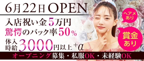 ガールズバー ディア【公式求人・体入情報】(関内ガールズバー)の求人・体験入店情報