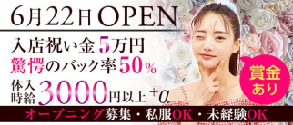 ガールズバー ディア【公式求人・体入情報】(関内ガールズバー)の求人・体験入店情報
