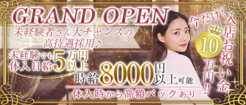 SELECTION CLUB (セレクションクラブ)【公式求人・体入情報】(錦糸町キャバクラ)の求人・体験入店情報