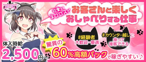 【歌舞伎町】コンカフェ&バー チームキャット【公式求人・体入情報】(新宿ガールズバー)の求人・体験入店情報