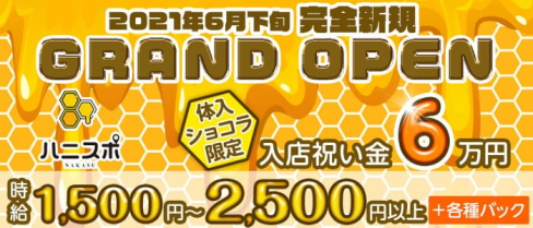 ハニスポ~NAKASU~(ハニスポナカス)【公式求人・体入情報】(中洲ガールズバー)の求人・体験入店情報