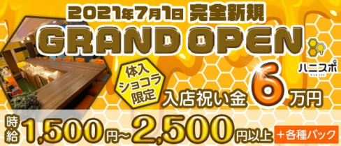 ハニスポ~NAKASU~(ハニスポナカス)【公式求人・体入情報】(中洲ガールズバー)の求人・体験入店情報
