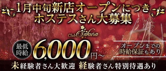 Club Sakura（サクラ）【公式求人・体入情報】 中洲キャバクラ バナー