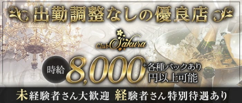 Club Sakura(サクラ)【公式求人・体入情報】(中洲キャバクラ)の求人・体験入店情報