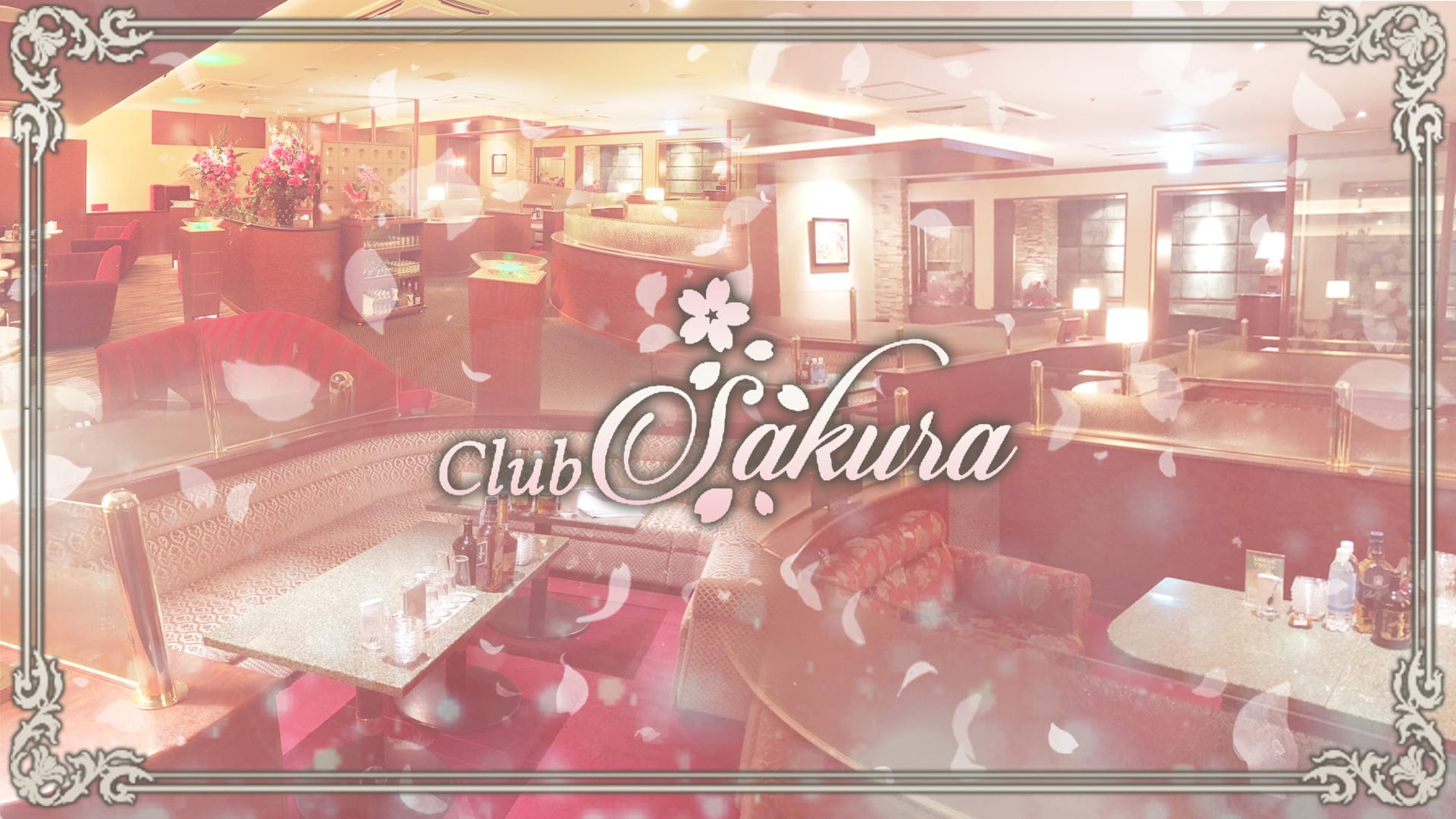 Club Sakura（サクラ）【公式求人・体入情報】 中洲キャバクラ TOP画像