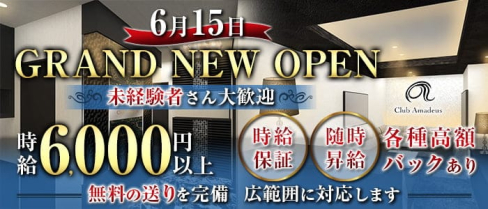 Club Amadeus(アマデウス)【公式求人・体入情報】(北新地ラウンジ)の求人・体験入店情報