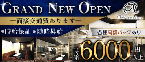 Club Amadeus(アマデウス)【公式求人・体入情報】(北新地ラウンジ)の求人・体験入店情報