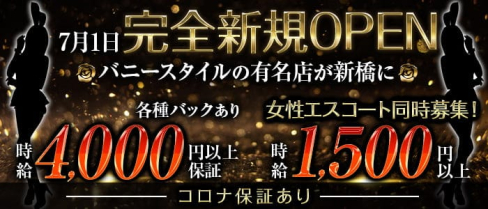 【新橋】Tokyo on the Dream(トウキョウオンザドリーム)【公式求人・体入情報】(秋葉原キャバクラ)の求人・体験入店情報