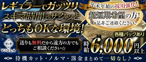 VIOLA(ヴィオラ)【公式求人・体入情報】(錦糸町キャバクラ)の求人・体験入店情報