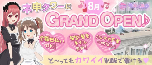 コンカフェ&バー マシュメロ【公式求人・体入情報】(秋葉原ガールズバー)の求人・体験入店情報