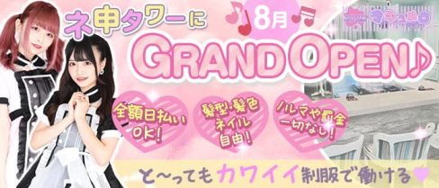 コンカフェ&バー マシュメロ【公式求人・体入情報】(秋葉原ガールズバー)の求人・体験入店情報