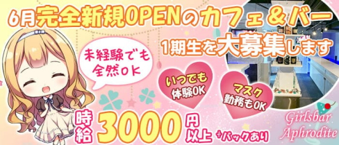 Girlsbar Aphrodite(アフロディーデ)【公式求人・体入情報】(新橋ガールズバー)の求人・体験入店情報