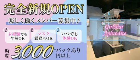 Girlsbar Aphrodite(アフロディーテ)【公式求人・体入情報】(新橋ガールズバー)の求人・体験入店情報