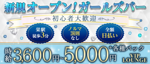 VIP LOUNGE(ビップラウンジ)【公式求人・体入情報】(錦ガールズバー)の求人・体験入店情報