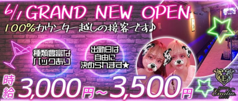 ガールズバー Emilia-エミリア-【公式求人・体入情報】(渋谷ガールズバー)の求人・体験入店情報