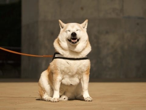 女の子大募集しちゃいます♪