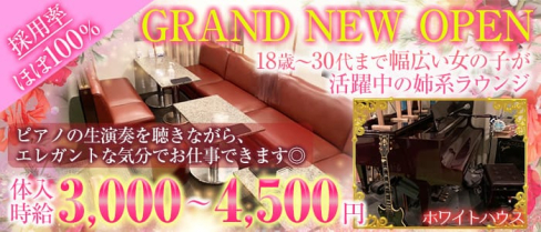 ピアノラウンジ ホワイトハウス【公式出稼ぎ求人情報】(関内姉キャバ・半熟キャバ)の求人・バイト・体験入店情報