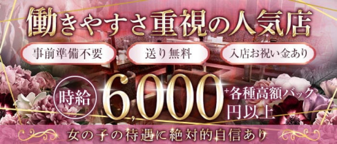 Club ELSA(エルサ)【公式出稼ぎ求人情報】(中洲キャバクラ)の求人・バイト・体験入店情報