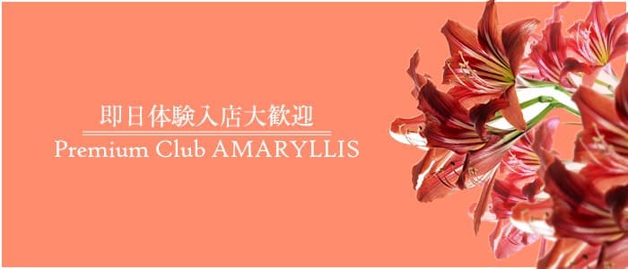 Premium Club Amaryllis アマリリス 公式求人 体入情報 中洲 クラブ 公式求人 キャバクラ求人なら 体入ショコラ