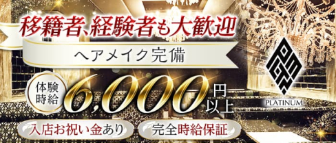 PLATINUM 浜松 (プラチナム ハママツ) 【公式求人・体入情報】(浜松キャバクラ)の求人・体験入店情報