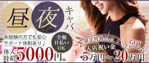 Now(ナウ)【公式求人・体入情報】(関内昼キャバ・朝キャバ)の求人・体験入店情報