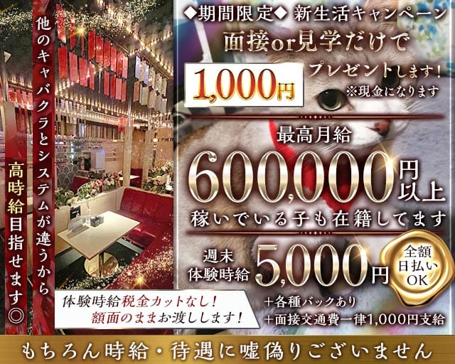 レディースマーケット 島田店(島田キャバクラ)の求人・体験入店情報