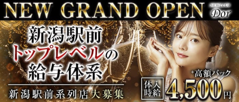 NEW CLUB Dor(ドール)【公式求人・体入情報】(新潟キャバクラ)の求人・体験入店情報