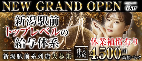 NEW CLUB Dor(ドール)【公式求人・体入情報】(新潟キャバクラ)の求人・体験入店情報