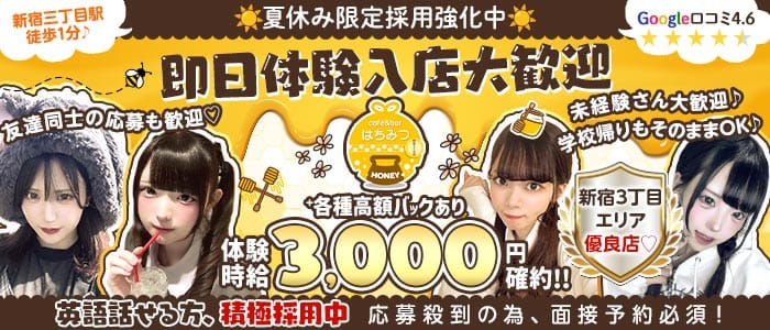 Cafe & Bar はちみつ(歌舞伎町ガールズバー)の求人・体験入店情報