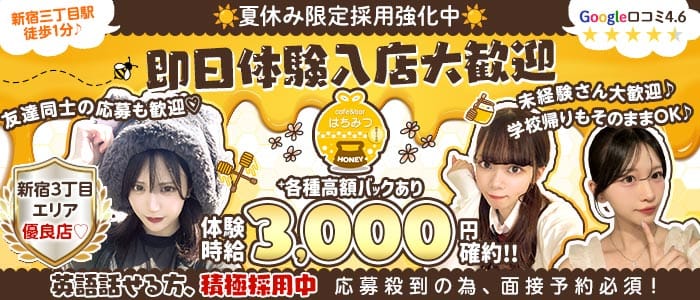 Cafe & Bar はちみつ(歌舞伎町ガールズバー)の求人・体験入店情報