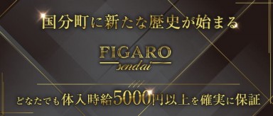 FIGARO（フィガロ）【公式求人・体入情報】(国分町キャバクラ)の求人・バイト・体験入店情報
