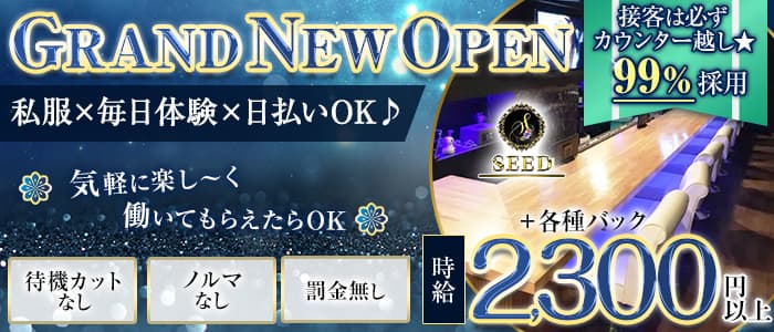 SEED（シード）のガールズバー体入