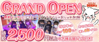 Girl’s Bar SEEKs(シークス)【公式求人・体入情報】(府中ガールズバー)の求人・体験入店情報