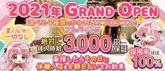 【新橋駅烏森口】 エプロンズトーキョー【公式求人・体入情報】(秋葉原ガールズバー)の求人・体験入店情報