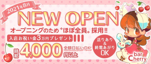 bar cherry (バー チェリー)【公式求人・体入情報】(錦糸町ガールズバー)の求人・体験入店情報