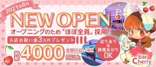 bar cherry (バー チェリー)【公式求人・体入情報】(錦糸町ガールズバー)の求人・体験入店情報