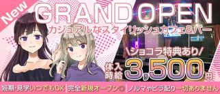 ガールズカフェ&バー ACE(エース)【公式求人・体入情報】(恵比寿ガールズバー)の求人・体験入店情報