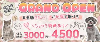 ガールズバー Fairy mode(フェアリモード)【公式求人・体入情報】(高円寺ガールズバー)の求人・体験入店情報