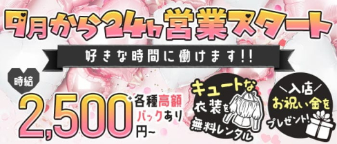 Girl's Bar SHINE(シャイン)【公式求人・体入情報】(歌舞伎町ガールズバー)の求人・体験入店情報