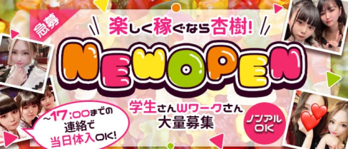 Neo Snack 杏樹(アンジュ)【公式求人・体入情報】(中洲スナック)の求人・体験入店情報