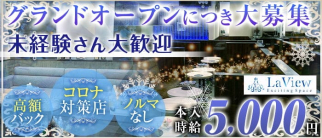 LaView (ラビュー)【公式求人・体入情報】(金山キャバクラ)の求人・体験入店情報