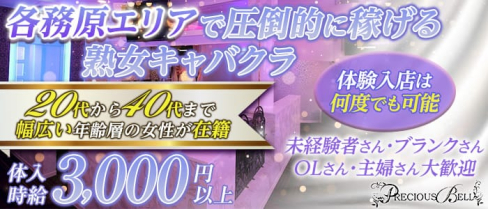 PRECIOUS BELL(プレシャスベル)【公式求人・体入情報】(各務原熟女キャバクラ)の求人・体験入店情報