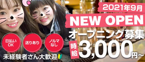 Girl's BAR ノービス【公式求人・体入情報】(大森ガールズバー)の求人・体験入店情報