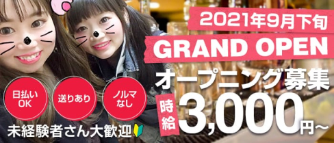 Girl's BAR ノービス【公式求人・体入情報】(大森ガールズバー)の求人・体験入店情報